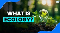 What is Ecology Instructional Video