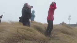 CLEAN : Waves batter Dutch coastline as Storm Corrie rages News Clip
