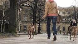 Munich: From Oktoberfest to Museums and Scenic Beauty Instructional Video