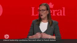 Liberal candidates debate handling Trump, economic challenges News Clip