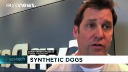 Dog that bleeds but doesn’t bark could revolutionize vet school training News Clip