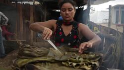Nicuraguan refugees in Costa Rica set up farm Instructional Video