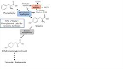 Catecholamine Biosynthesis Pathway Instructional Video
