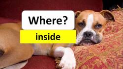 Adjectives & Adverbs Instructional Video