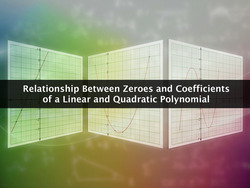 Zeros and Coefficients of a Polynomial Instructional Video