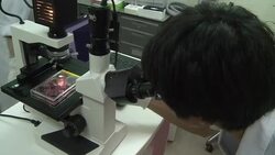 VOICED : Getto la fuente de la eterna juventud News Clip