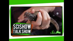 The Wonders of Working with Animals Instructional Video