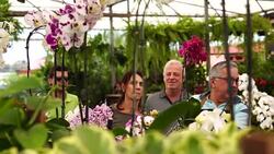 Family shop for plants with Salesman at Flower Market Stock Footage