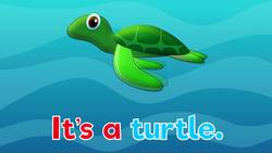 Under the Sea Part 2 Instructional Video