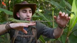 Monkey Tailed Lizard! Instructional Video