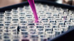 Kara Walker: Fons Americanus Instructional Video