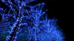 Neon Tree illumination Stock Footage