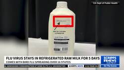Flu virus can remain infectious in refrigerated raw milk, new study finds News Clip