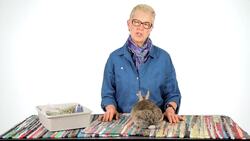 What Is a Necropsy? Instructional Video