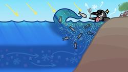 Why Are There Penguins At The Equator? Instructional Video