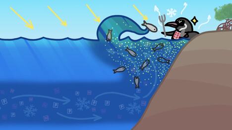 Why Are There Penguins At The Equator?
