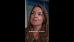 Yes, you can train even the most difficult cat News Clip