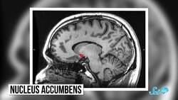 How to Get Things Done by NOT Doing Them | Compilation Instructional Video