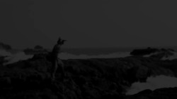 OUCH - That Must Have Hurt! Instructional Video