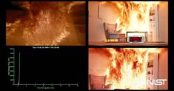 Why You Should Water Your Christmas Tree Instructional Video