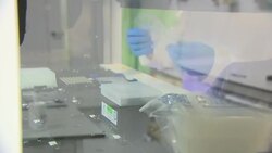 Scientists doing COVID tests in a lab News Clip