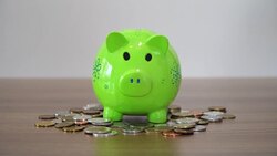 Saving Money for Future Stock Footage