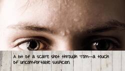 Understanding Diction: Character Voices in Literature Instructional Video