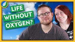 Is Oxygen Necessary? Instructional Video