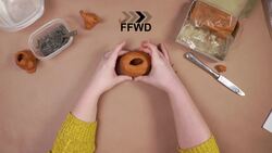 Chia-Seed Animal Sculpture Instructional Video