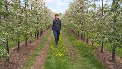 Virus leads to farm labour shortage before Brexit News Clip