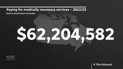 Private clinics charging up to $8,000 a year for family doctor access News Clip