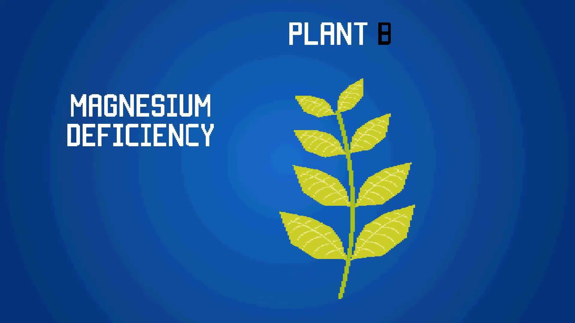 Plant Nutrition | Science