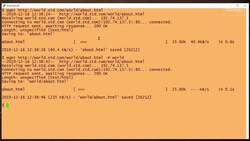 How to use the wget command: 2-Minute Linux Tips Instructional Video
