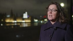 Oceana issues stark warning on devastating impact of overfishing ahead of World Fisheries Day News Clip