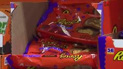 Candy prices up this year: how to save this Halloween News Clip