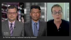 Is TikTok really a national security threat? News Clip
