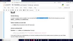 Python 🐍 Variables Instructional Video
