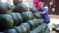 Behind the scenes in watermelon season Instructional Video