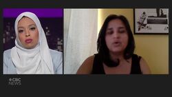 Labelling white supremacy groups as terrorists will hurt marginalized communities, advocates say News Clip