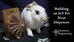 Building a wireless Arduino Pet Treat Dispenser Instructional Video