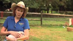 How Big Do Teacup Pigs Get? Instructional Video