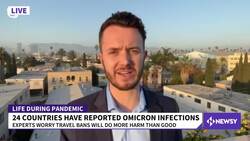 Experts Skeptical Travel Restrictions Are Answer To Omicron Variant News Clip