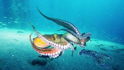 Science Kids: The Amazing Octopus Instructional Video