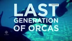 SeaWorld to end breeding of orcas News Clip