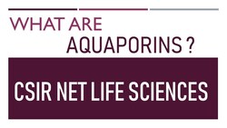 Aquaporins: What Are They? Instructional Video