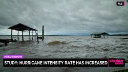 Study: Hurricane Intensity Rate Has Increased News Clip