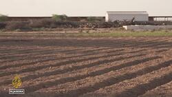 Doha Expo 2023: Qatar aims to combat desertification News Clip