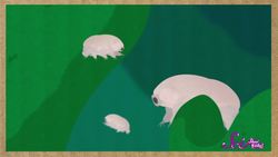 Meet the Microanimals! Instructional Video