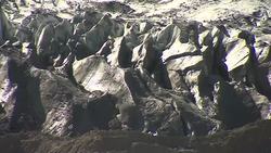 Hindu Kush Glacier Stockshots News Clip