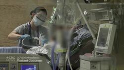 Ontario to impose mandatory testing at Pearson Airport News Clip